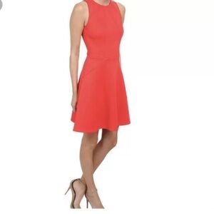 TED BAKER Mitton Peplum Fit n Flare Skater Dress